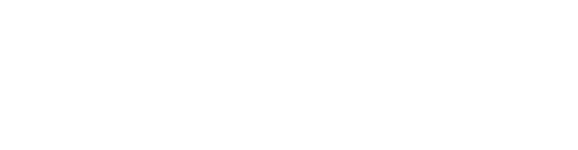 Innovación y Experiencia