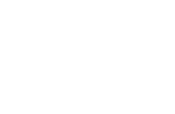 Logo Transparency black